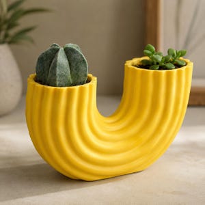 May include: A bright yellow U-shaped planter with a ribbed, wavy texture. The planter features two openings, one containing a small, round, grey-green cactus and the other holding a small green succulent plant with rounded leaves.