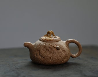 120cc chinese Yixing Handmade Zisha Duan clay Teapot Gong Chun Hu Tea Pot