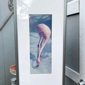 Vintage Flamingo Photograph Photo Signed Bird Tropical Framed