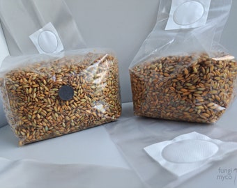 Organic Mushroom Grain Spawn Sterilised Substrate Rye Grain Inoculation Gypsum Coffee Grow Mushrooms Injection Port