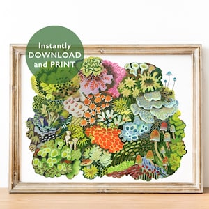 May include: A digital illustration of a colorful, abstract cluster of mushrooms and plants. The artwork features a variety of shapes, sizes, and textures, with shades of green, blue, orange, pink, and white.