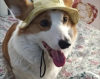 Pet summer thin section sunscreen hat, dog hats, cat hats, small and medium-sized cats and dogs out of the decorative photography