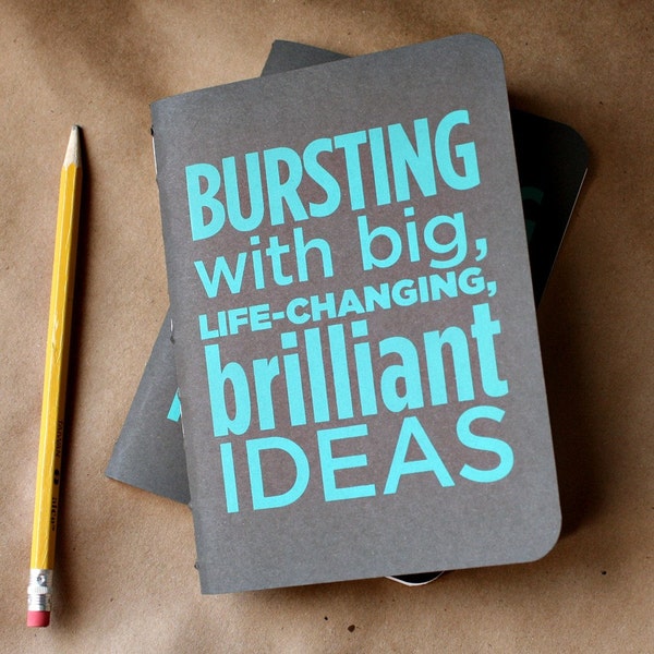 Bursting with Brilliance (Teal) screenprinted idea notebook