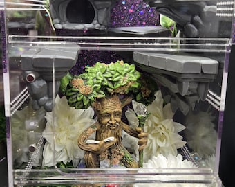 Recinto para arañas saltarinas / Terrario acrílico decorado / Hábitat para arañas arborícolas con apertura frontal magnética