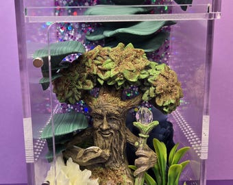 Jumping Spider Enclosure | Decorated Acrylic Terrarium | Magnetic Front Opening Arboreal Spider Habitat