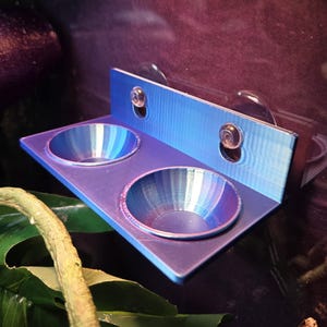 Gecko Feeder Ledge mit passenden Schüsseln