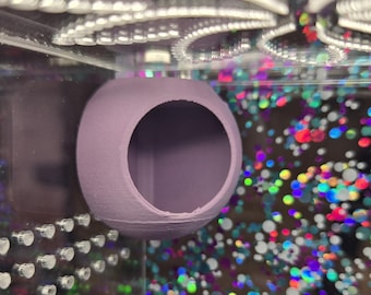 Escondite de esquina para arañas saltadoras