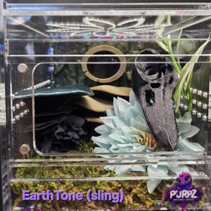 Decorated Jumping Spider Enclosures