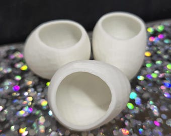 Piel de huevo de araña saltadora