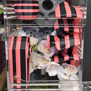 Decorated Jumping Spider Enclosures