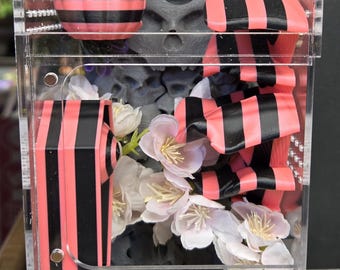 Decorated Jumping Spider Enclosures