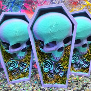 Floral Skull Coffin Spider Hide