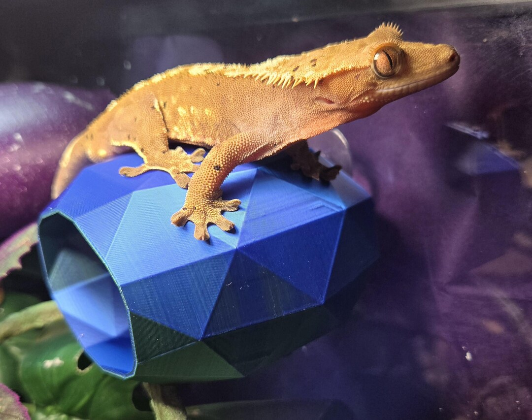 Medium Pixel Bubble Loft Hide for Geckos, Amphibians, Lizards - Etsy