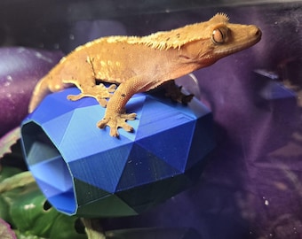 ヤモリ、両生類、トカゲ用のミディアムピクセルバブルロフト隠れ家