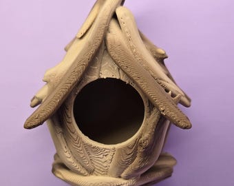 Escondite para arañas saltarinas de bosque