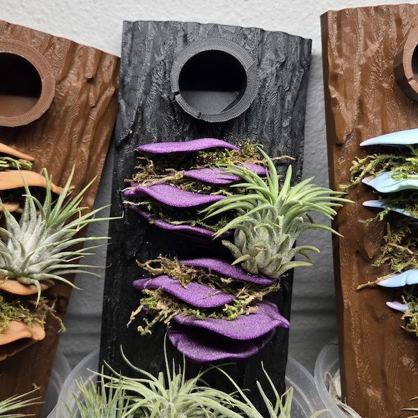 Jumping Spider Enclosure Background | 3D Bark & Mushroom Decor| Terrarium Backdrop| Arboreal Setup