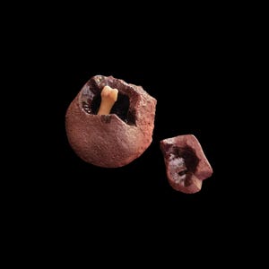 Op de afbeelding: Een roodbruine, eivormige sculptuur met een gebroken gedeelte dat een klein, beige bot onthult. Een apart, kleiner stuk van de sculptuur ligt ernaast, alles tegen een zwarte achtergrond.
