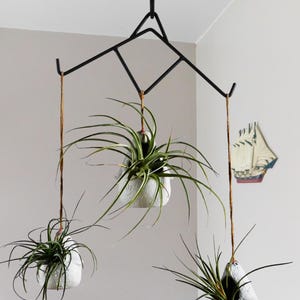May include: A hanging air plant display featuring three air plants in white speckled pots suspended from a black metal frame. The plants have long, green leaves. The display is hanging from the ceiling.