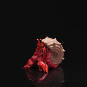 Articulated Hermit Crab