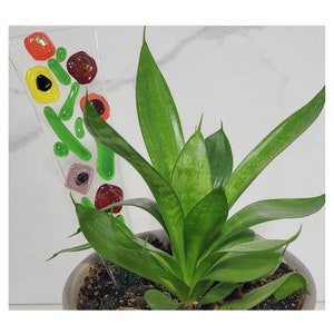 May include: A green potted plant with variegated leaves. A glass flower stake with colorful glass flowers is in the soil.