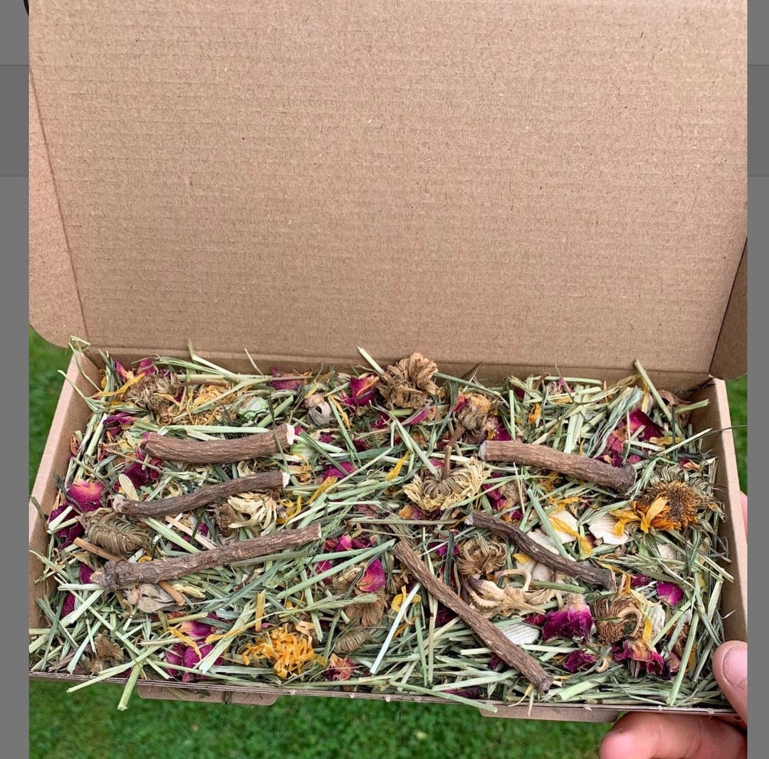 Forage Subscription Box Floral Forage Box - Etsy UK