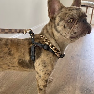 Etsy louis vuitton dog collar deals