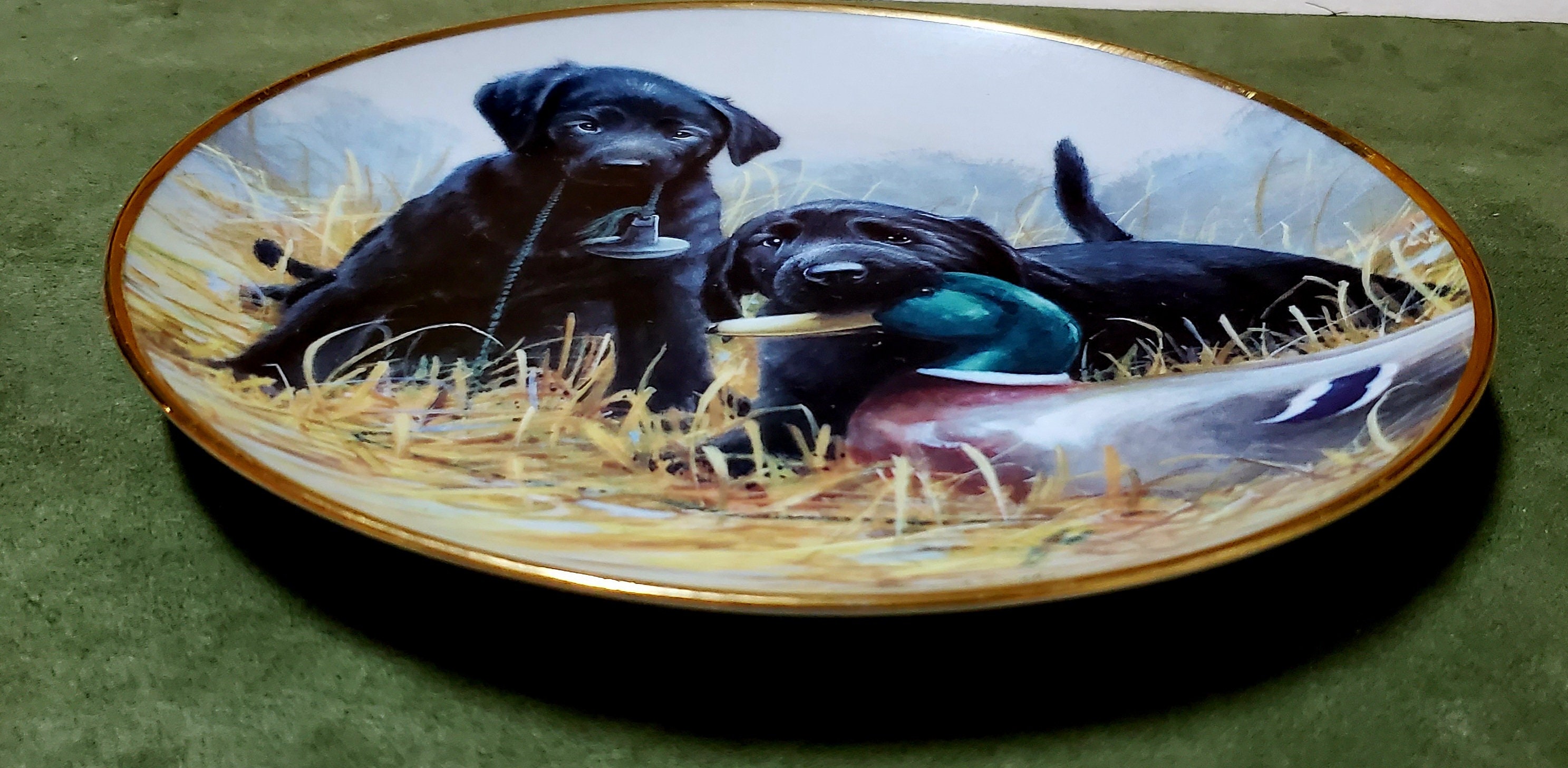 Franklin mint labrador plates deals