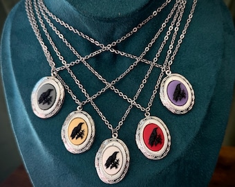 Puede incluir: Una colección de collares plateados con colgantes ovalados. Cada colgante presenta una silueta de cuervo negro sobre un fondo de color: gris, amarillo, blanco, rojo y morado. Los collares se exhiben sobre una superficie de terciopelo turquesa.
