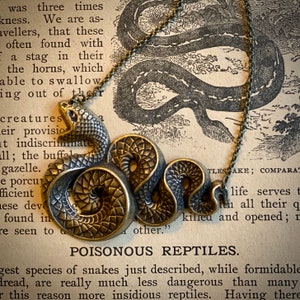 Antiqued brass vintage style gothic snake necklace.