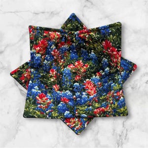 Bowl Cozy (Set of 2)  Texas Bluebonnets and Wildflowers.