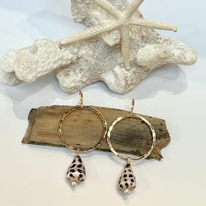 May include: Gold hoop earrings with a dangling seashell charm. The seashell is white with black spots and has a small pearl at the bottom.