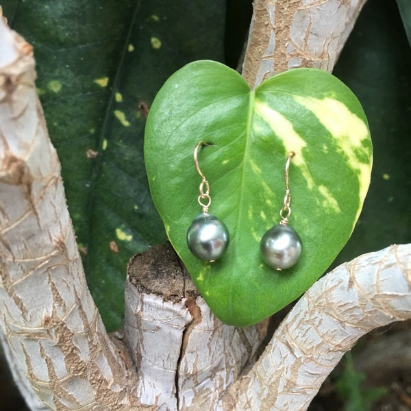 Simple Genuine Tahitian Pearl Earrings