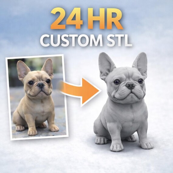 Custom 3D Model From Photo – 24 Hour STL File (Digital Download)