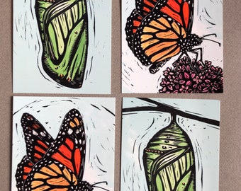 Monarch butterfly and chrysalis postcards (4)