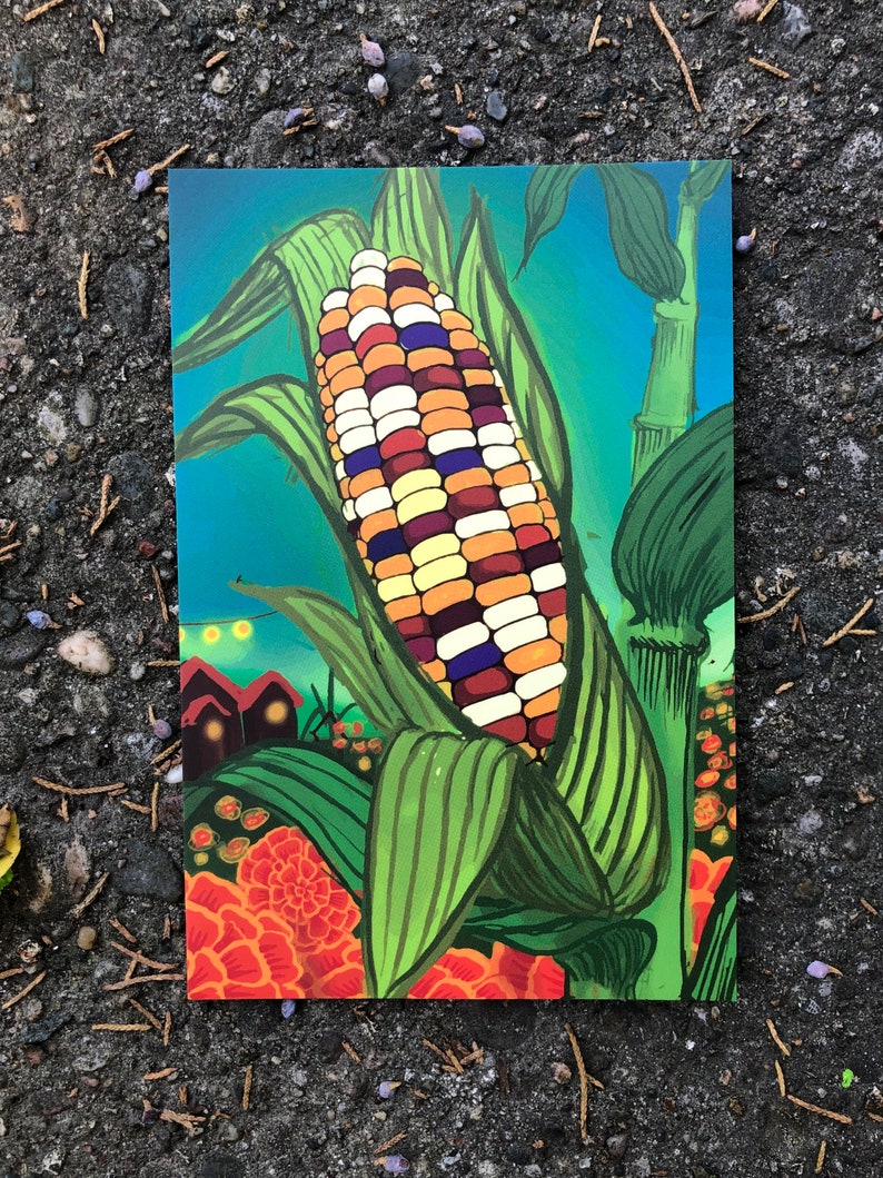 Corn postcards 4 image 2