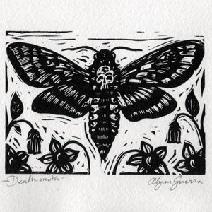 Death&#39;s head moth linocut