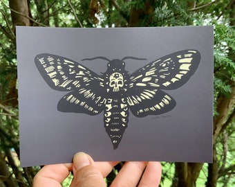 Death's head sphinx moth postcards (4)