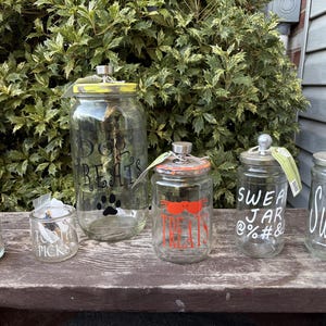 Op de afbeelding: Een verzameling glazen potten met metalen deksels, elk voorzien van verschillende woorden en ontwerpen. De potten staan op een houten oppervlak tegen een groene, bladerrijke achtergrond. De labels bevatten "Dog Treats", "Love", "Tooth Picks", "Treats", "Sweat Jar" en "Sweet".