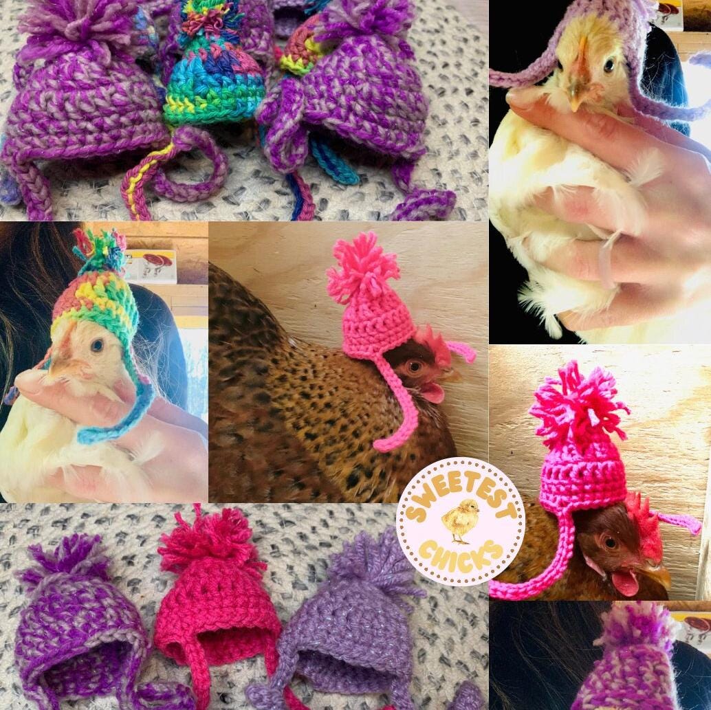 Hand Crocheted Mini Snow Hat with Pom Pom Poultry Photo Prop Hat Hand Crochet Chicken Accessory Chickens Winter Hat for Chicken, Bantam Hens