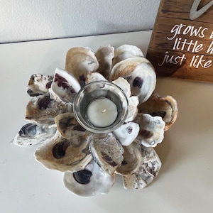 Oyster Shell candle holder