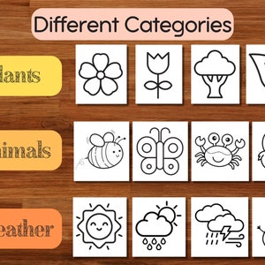 200 easy coloring pages | for small kids toddlers preschoolers kindergarten homeschool | instant download | print at home | Plants | Animals | Weather