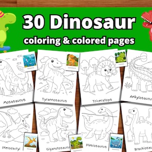 30 Dinosaurier Malseiten und farbige Seiten | für Kinder Kleinkinder Vorschulkinder Kindergarten Homeschool | Sofortdownload | Zuhause ausdrucken