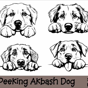 Puede incluir: Ilustración en blanco y negro de cuatro perros Akbash asomándose por encima de una superficie. Cada perro tiene una expresión diferente, uno de ellos saca la lengua.