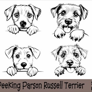 Può includere: Illustrazione in bianco e nero di un Parson Russell Terrier che sbircia da sopra una superficie. Il cane ha un'espressione giocosa e guarda direttamente lo spettatore.