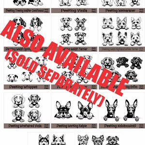 a poster with a bunch of dogs on it