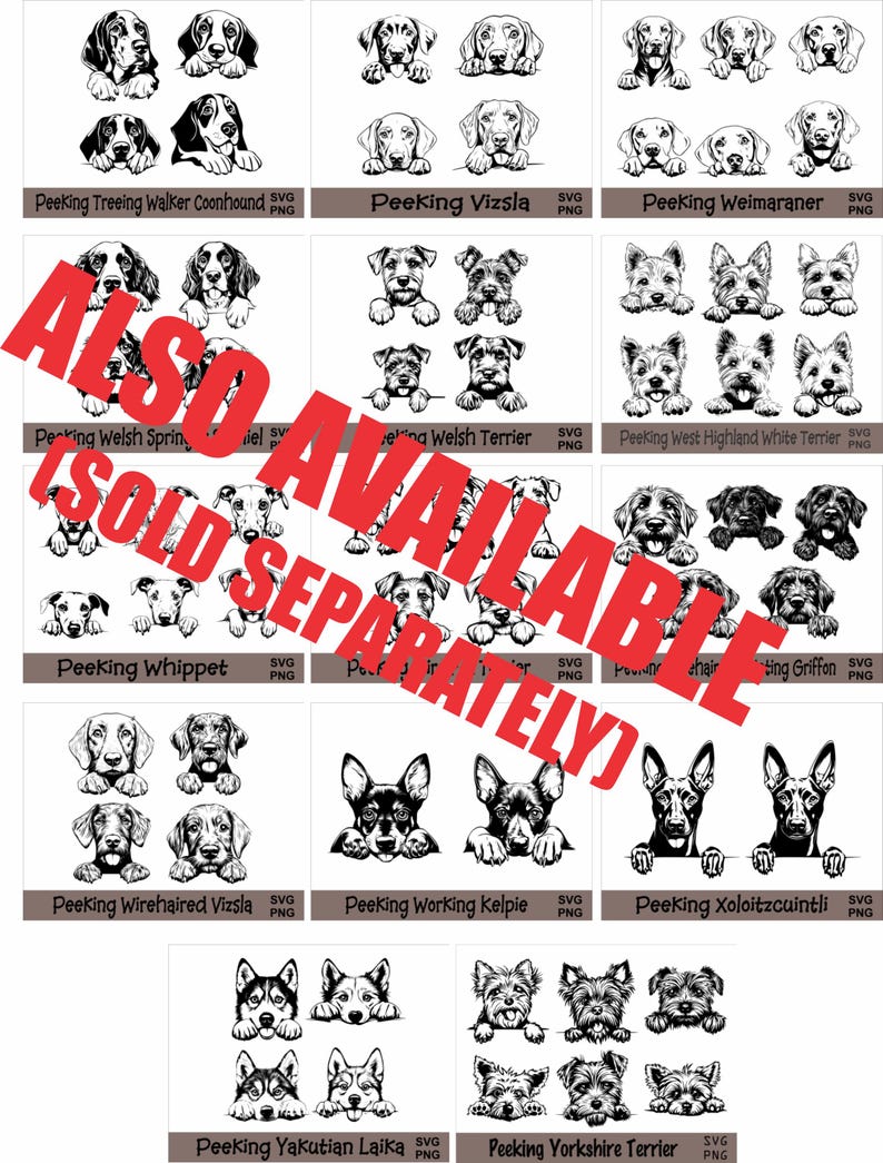 a poster with a bunch of dogs on it