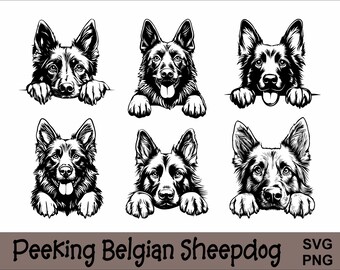 Kikande belgisk fårhund SVG och PNG-paket Kikande tassar, hundras K-9 djur husdjur valp hund stamtavla logotyp digital nedladdning