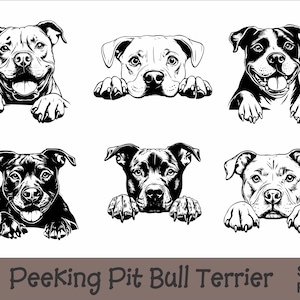 Peeking Pit Bull Terrier SVG en PNG bundel Peeking Paws, hondenras K-9 dier huisdier puppy honden stamboom logo digitale download
