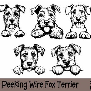 May include: Black and white illustrations of Wire Fox Terriers peeking over a surface. The dogs are drawn in a realistic style with detailed fur and facial expressions.