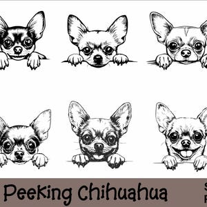 Pacote SVG e PNG de Chihuahua Espiando | Espiando Patas, Raça de Cachorro, K-9, Animal de Estimação, Filhote de Cachorro Pedigree Canino, Download Digital